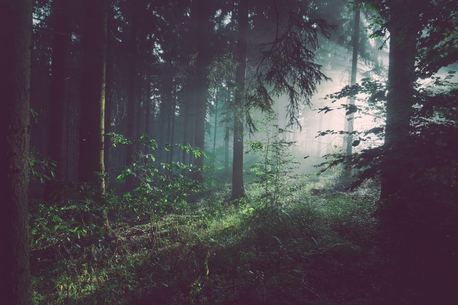 Forest canopy for environmental analysis